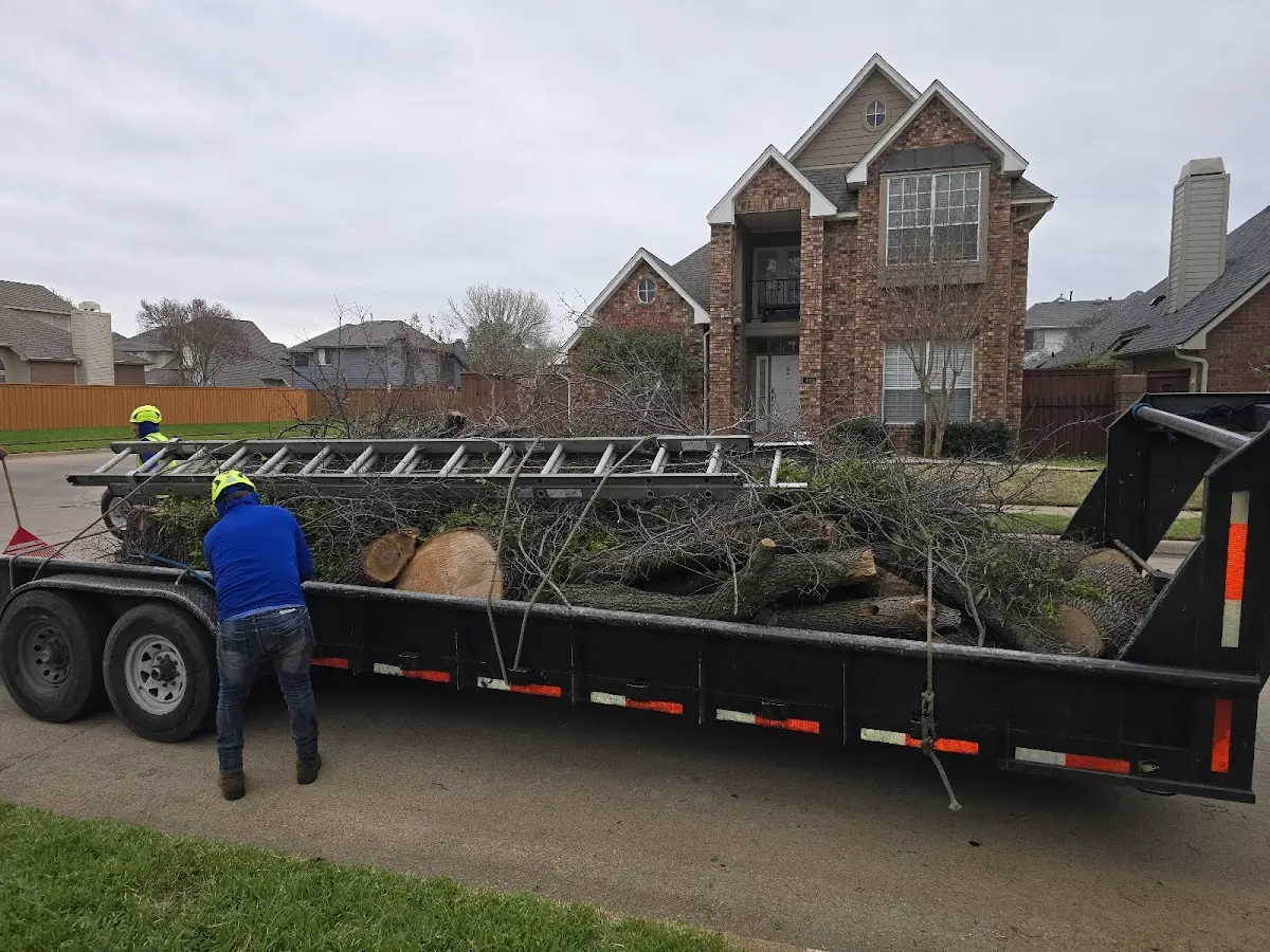 Expert Lot Clearing with proper safety equipment in Taconite